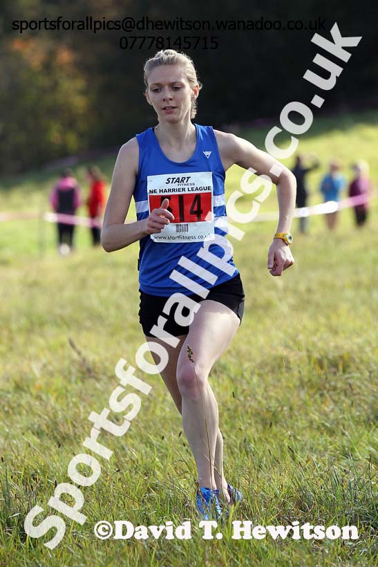 Senior womens start, North East Harrier League, Cramlington. Photo: David T. Hewitson/Sports for All Pics